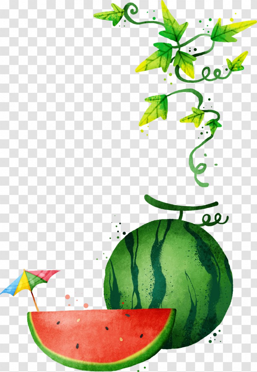 Watermelon Clip Art - Green - Watercolor Painted Melon Vine Transparent PNG