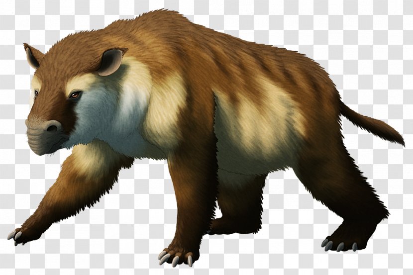 Beaver Bear Mammal Miocene Homalodotherium Transparent PNG