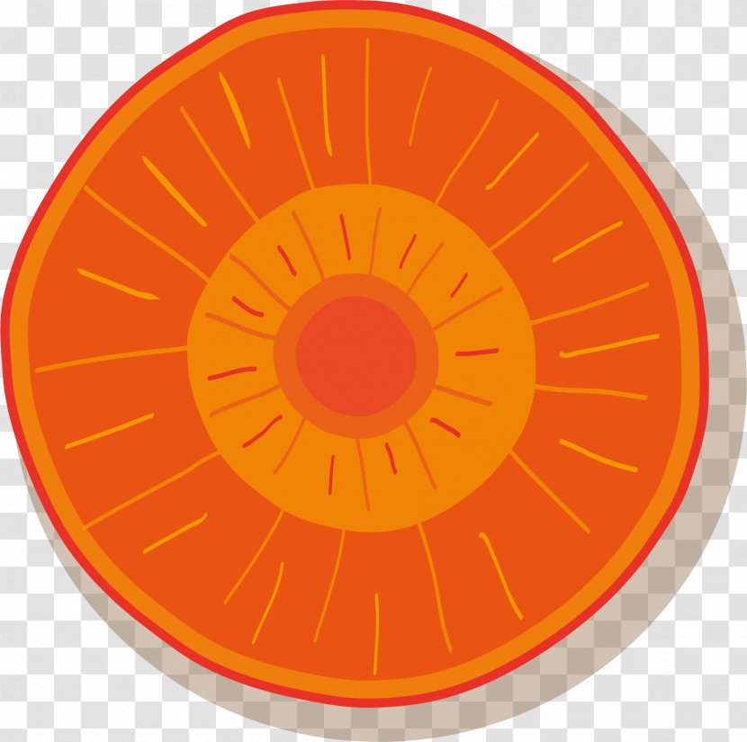 Carrot Adobe Illustrator - Vector Hand-painted Slices Transparent PNG