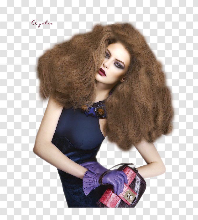 Fashion Design Beauty Model Wig - Mehdi Benatia Transparent PNG