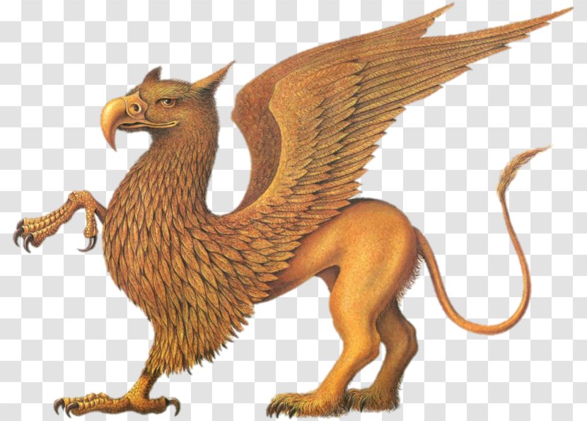 Legendary Creature Mythology Griffin Cockatrice Phoenix - Terrestrial Animal Transparent PNG