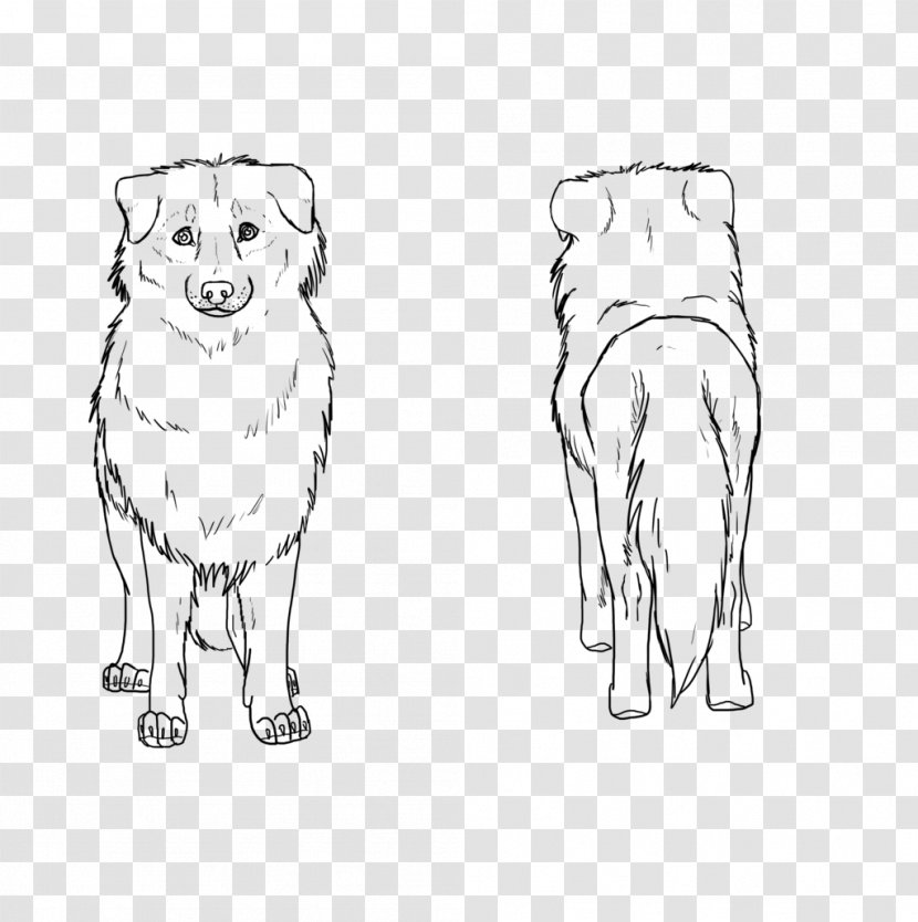 Dog Breed Snout Line Art Sketch - Drawing Transparent PNG
