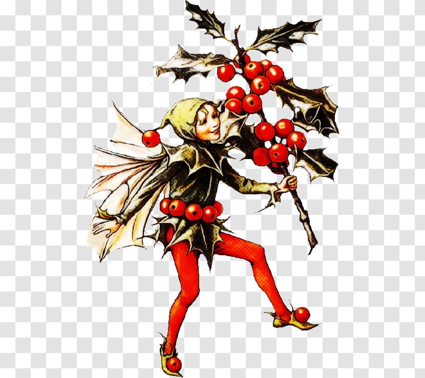 Holly - Plant Transparent PNG