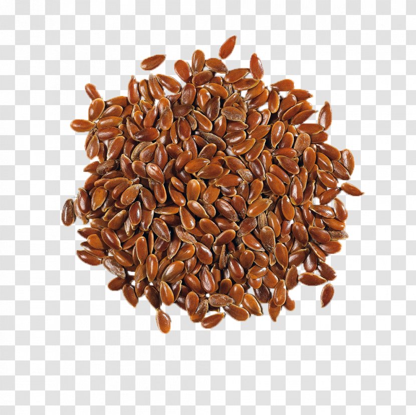 Flax Seed Linseed Oil Plant - Medicinal Plants - Seeds Transparent PNG