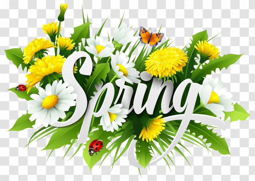 Season Spring Royalty-free Euclidean Vector - Floristry - Decorative Image Clipart Transparent PNG