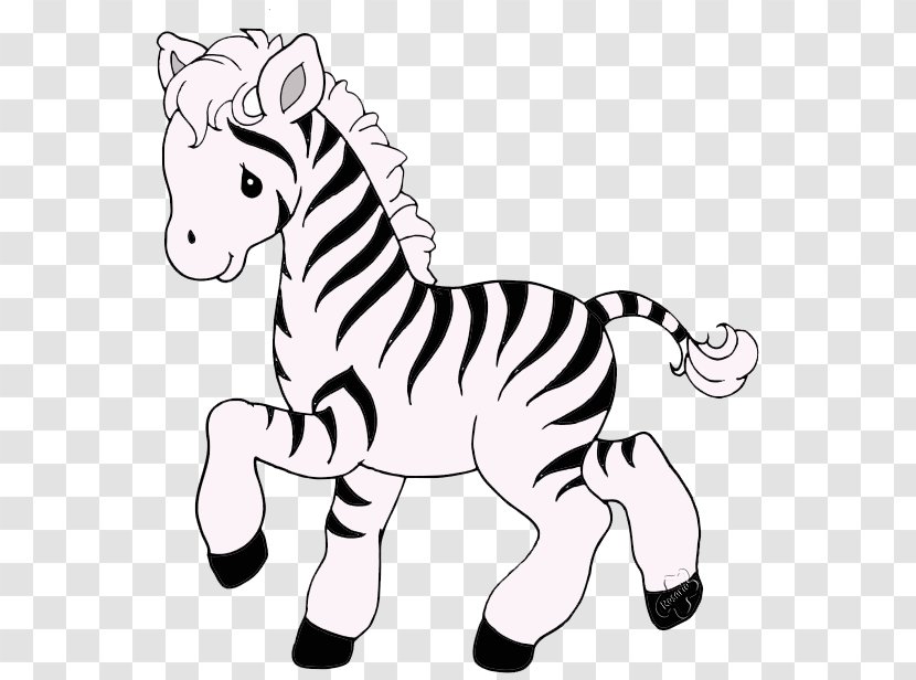Quagga Pony Zebra Drawing Coloring Book - Horse Transparent PNG