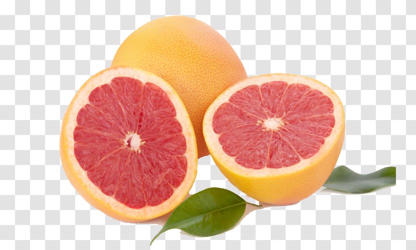 Mimosa Grapefruit Mandarin Orange Lemon Organic Food - Diet - Red Transparent PNG