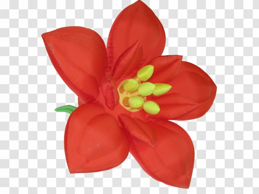 Red Flower Clip Art Image - Impatiens Transparent PNG