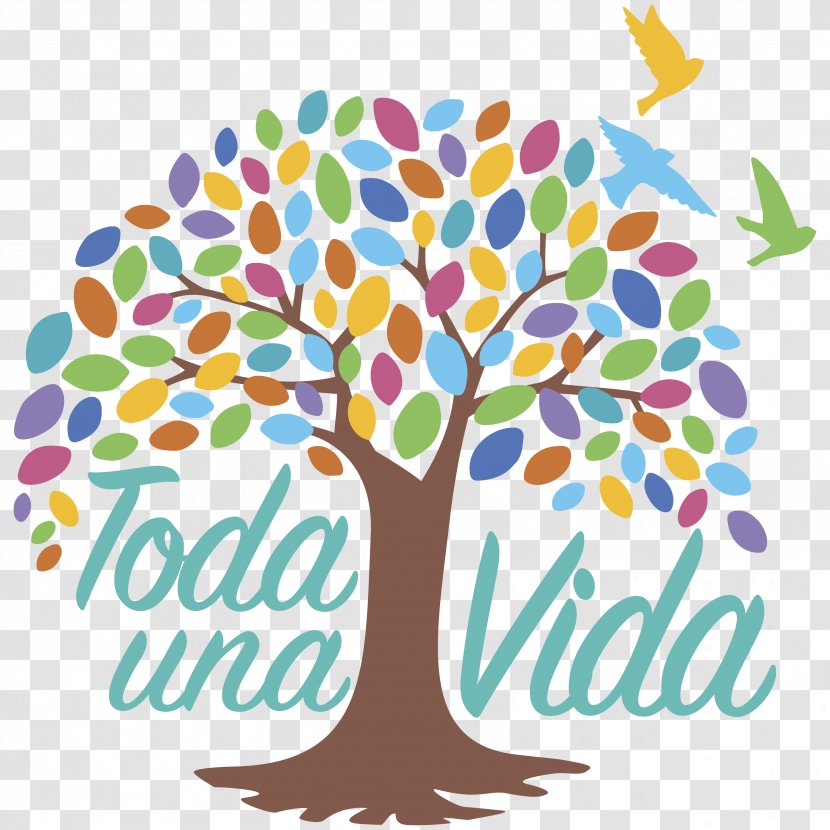 Ecuador 0 Toda Una Vida Life Education - Human Behavior - Creative Vision Transparent PNG