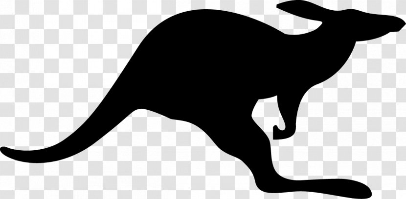 Whiskers Cat Kangaroo Fauna Tail - Logo - Hd Transparent PNG