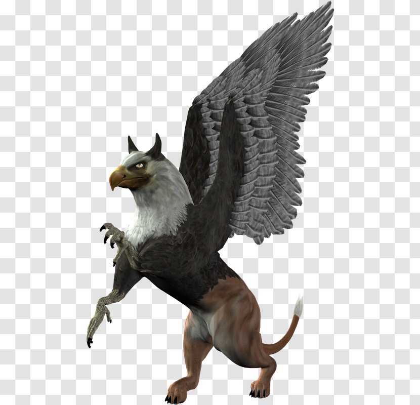 Griffin Clip Art - Mythology - Mitologia Transparent PNG