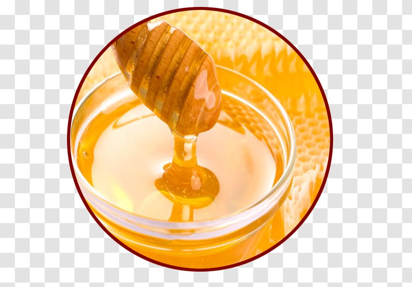 Honey Sugar Fructose Syrup Ingredient - Extractor Transparent PNG