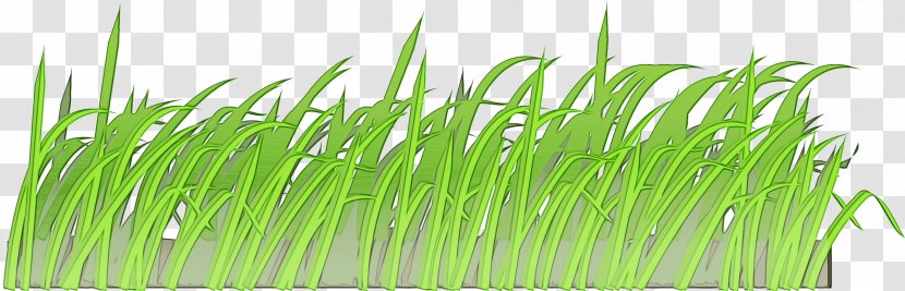Green Grass Background - Public Domain - Fodder Family Transparent PNG