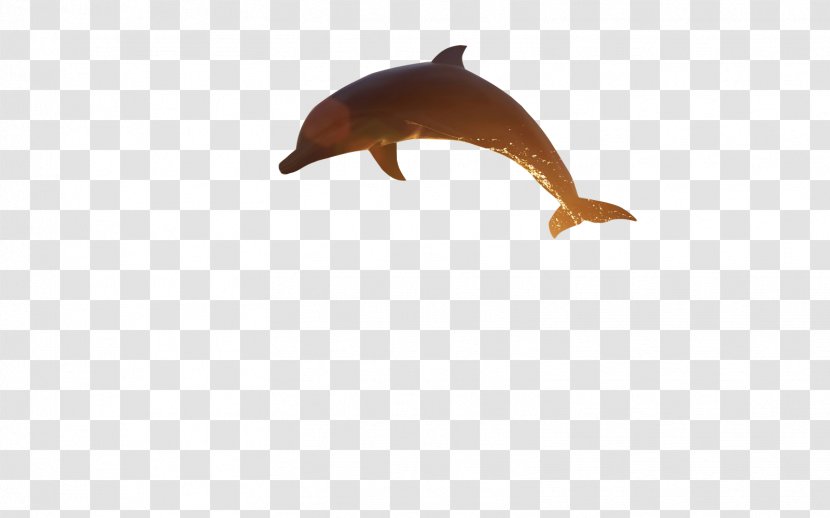 YouTube Desktop Wallpaper Clip Art - Whales Dolphins And Porpoises - Video Cam Transparent PNG