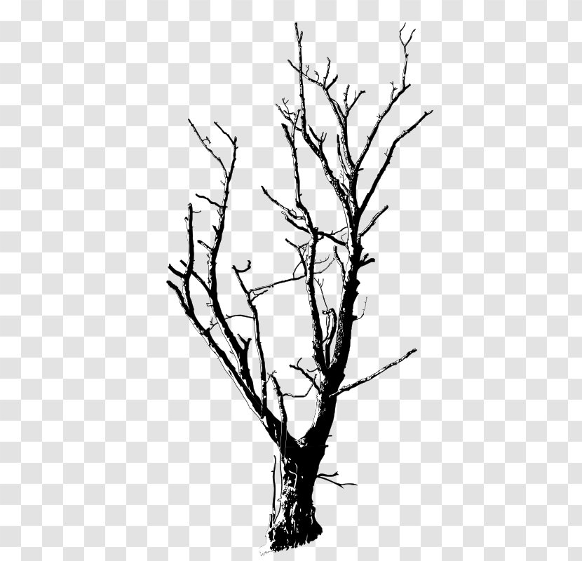 Clip Art Drawing Branch Tree Image - Royaltyfree Transparent PNG