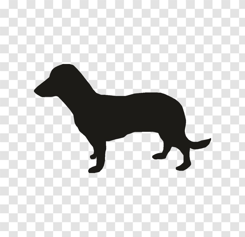 Miniature Dachshund Puppy Vector Graphics Dog Breed - Like Mammal Transparent PNG