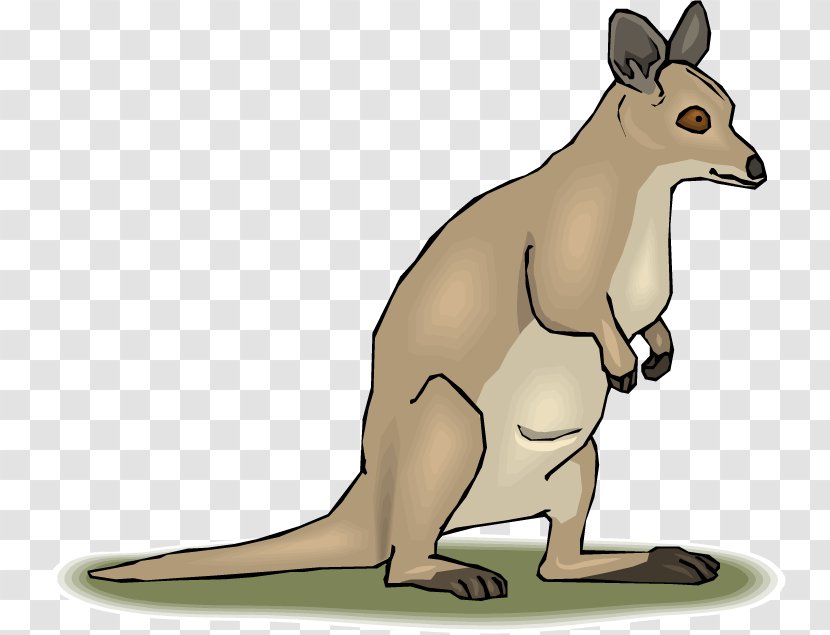 Marsupial Tree-kangaroo Mammal Clip Art - Rat - Kangaroo Transparent PNG