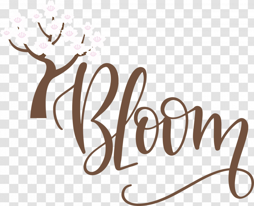 Bloom Spring Transparent PNG