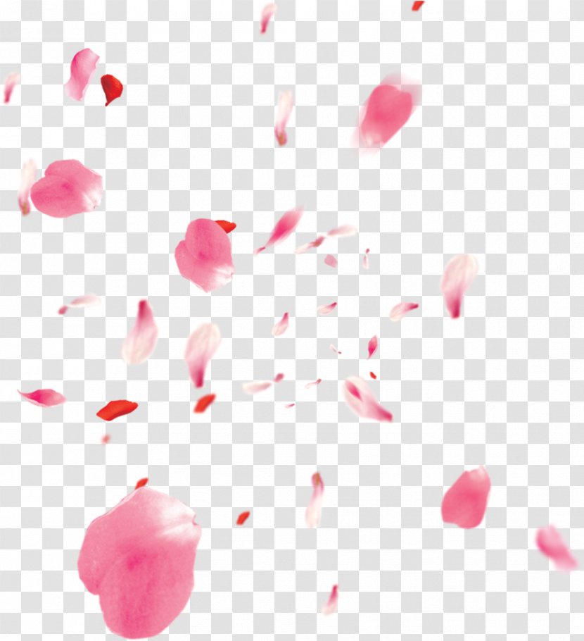 Pink Petal Heart Magenta Transparent PNG
