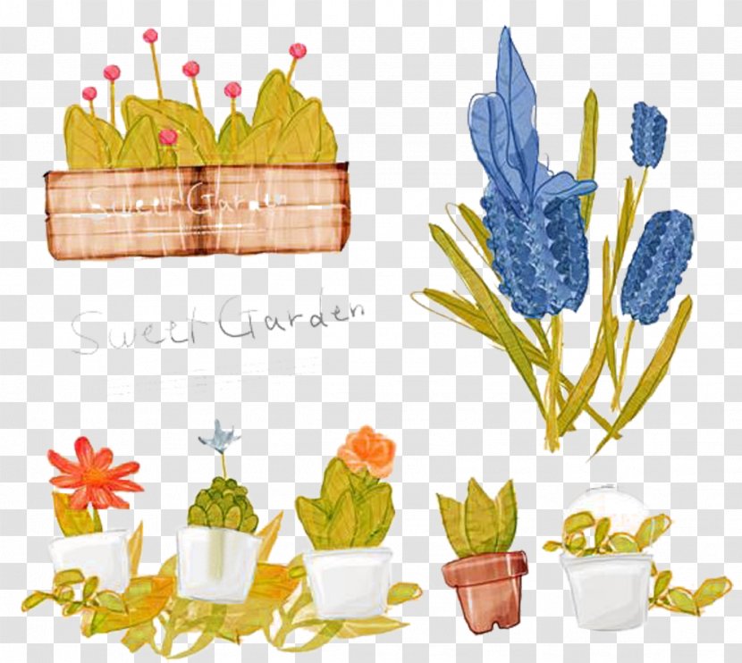 Bonsai Plant Illustration - Friendship Hyacinth Picture Material Transparent PNG