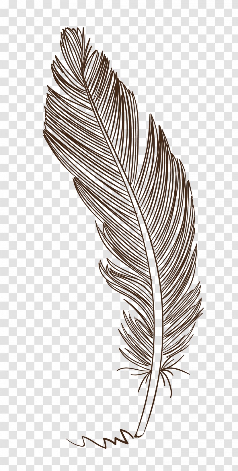 Vector Graphics Stock Illustration Drawing Photography - Feather - Leaf Transparent PNG