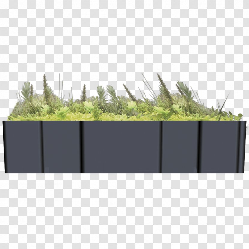 Fence Land Lot Wall Angle Grasses - Facade Transparent PNG