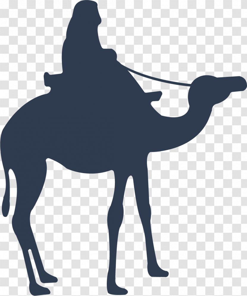 Camel Download Icon - Livestock - Blue Transparent PNG