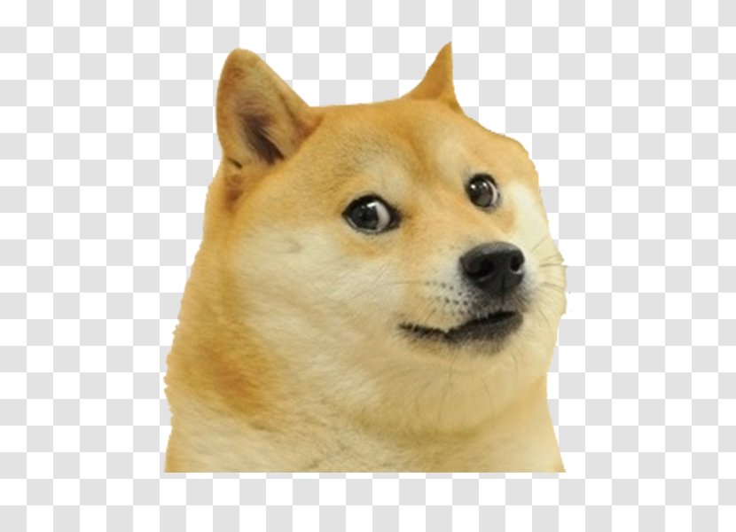 Shiba Inu Dogecoin - Information Transparent PNG