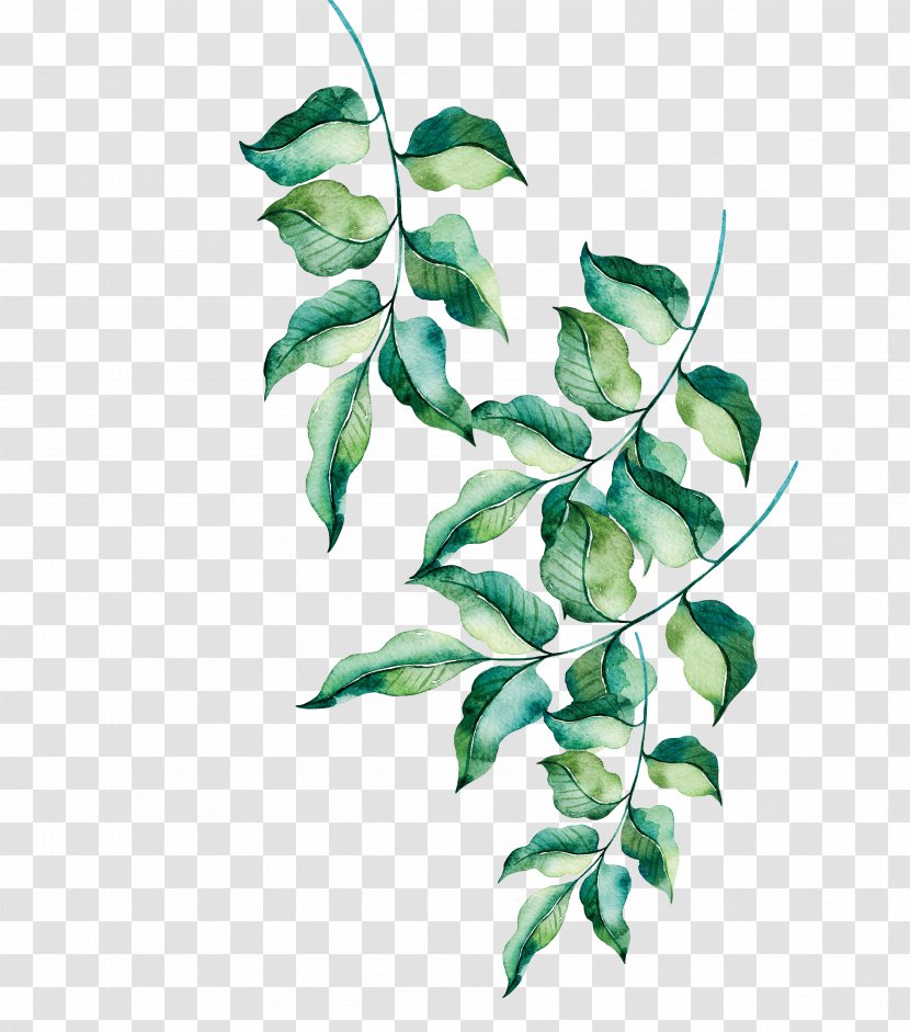Qingming Euclidean Vector Taobao - Tree - Hand Painted Green Leaves Transparent PNG