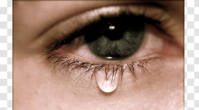 Tears Eye Crying Emotion Iris - Tree Transparent PNG