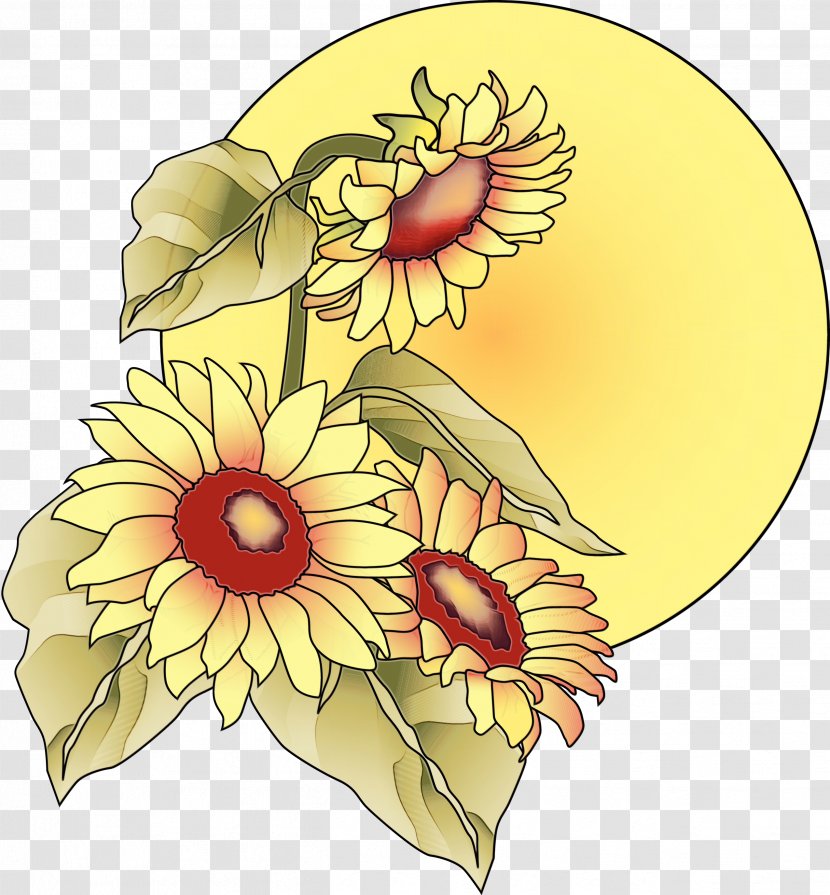 Flowers Background - Paint - Daisy Family Wildflower Transparent PNG