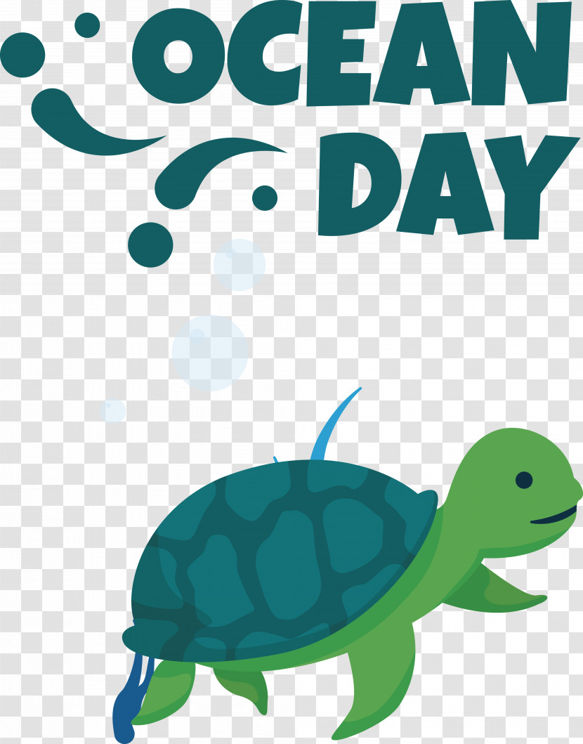 Sea Turtles Tortoise Turtles Cartoon Green Transparent PNG