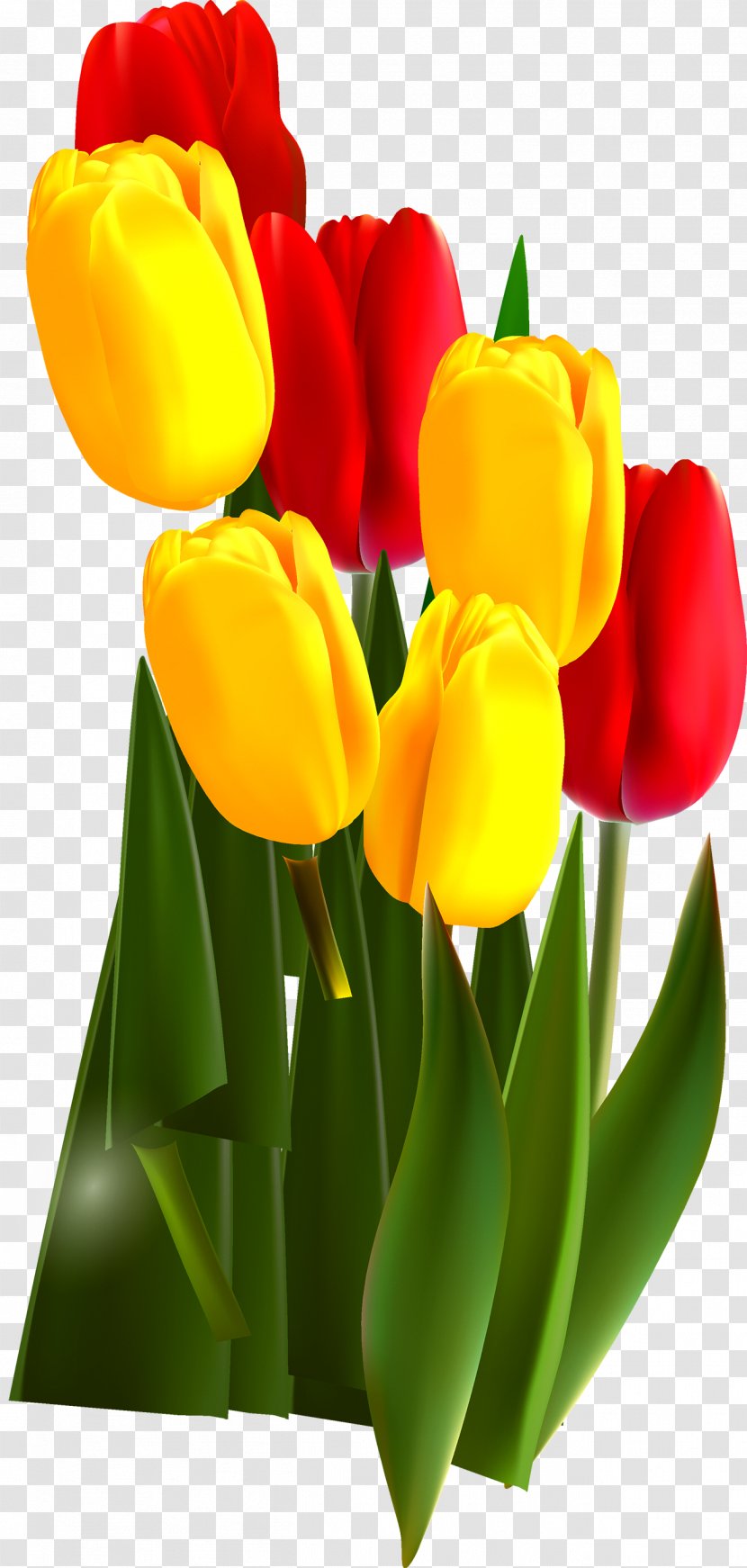 Tulip Mania Flower - Yellow Transparent PNG