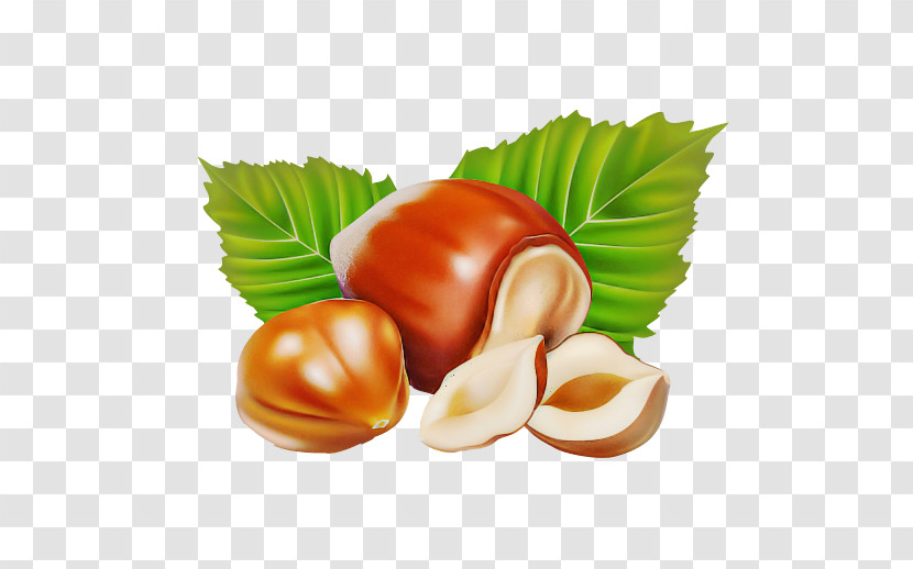 Hazelnut Chestnut Food Nut Nuts & Seeds Transparent PNG