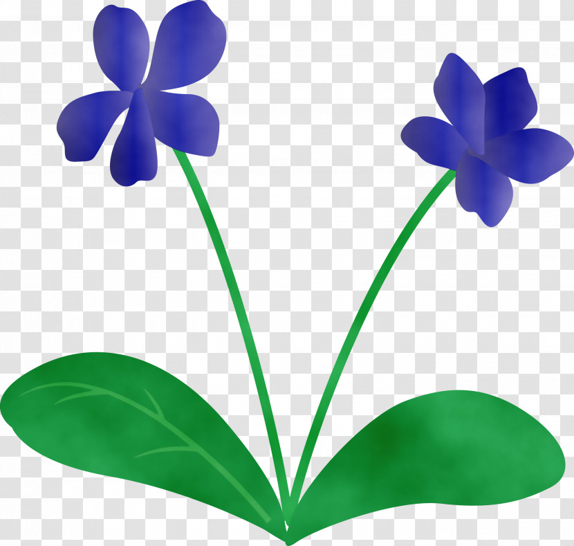 Plant Stem Flower Leaf Petal Flora Transparent PNG