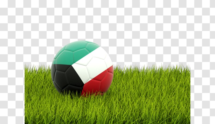The UEFA European Football Championship Flag Of Syria Egypt - Lawn Transparent PNG