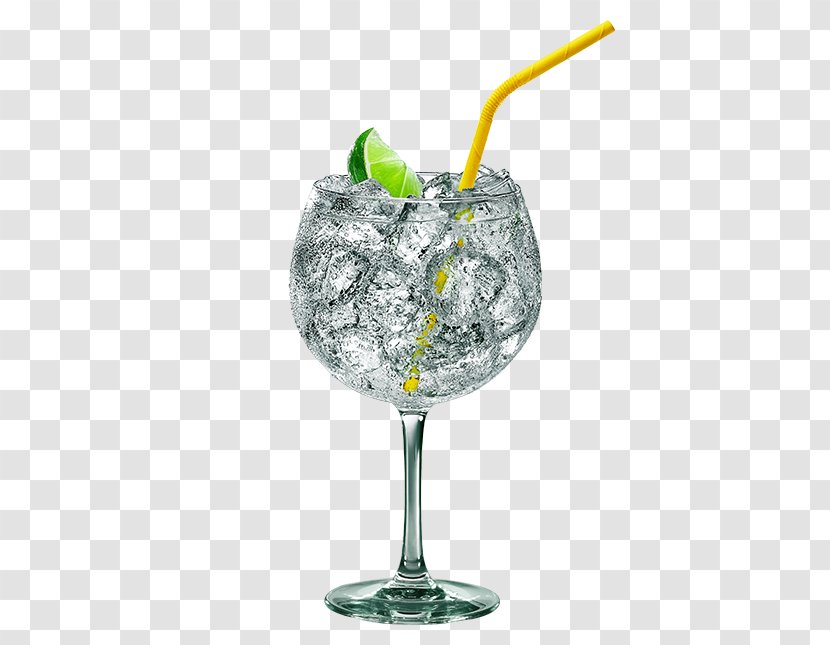 Gin And Tonic Cocktail Garnish Water - Long Drink - Fizz Transparent PNG