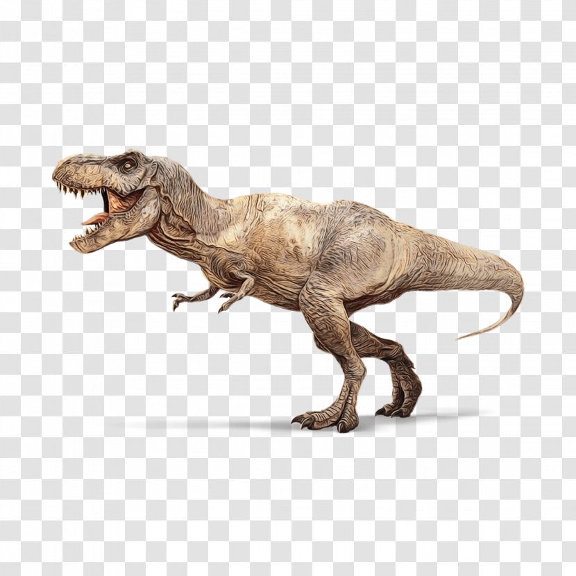 Dinosaur - Watercolor - Toy Claw Transparent PNG
