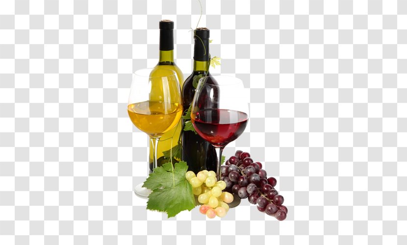 Red Wine Juice Common Grape Vine Transparent PNG