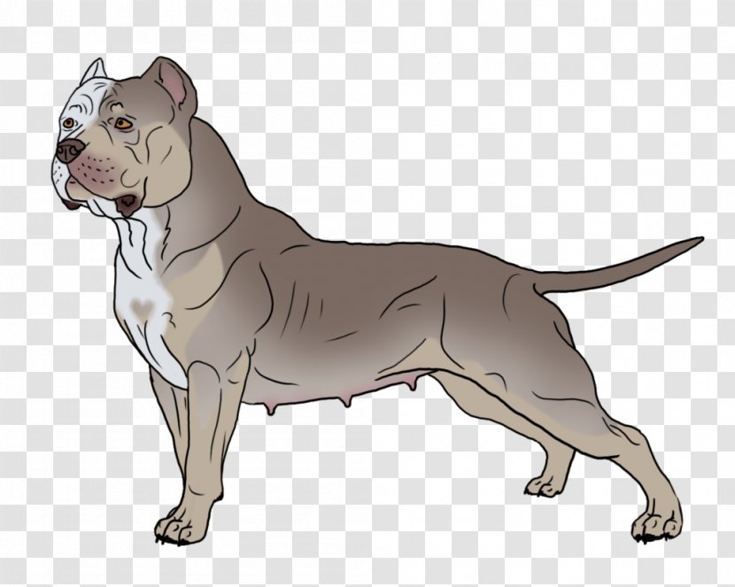 American Pit Bull Terrier Bulldog Staffordshire Old English - Snout - Pitbull Transparent PNG