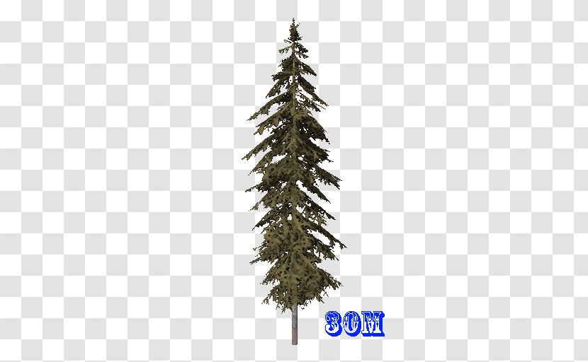 Spruce Christmas Ornament Fir Tree Pine Transparent PNG