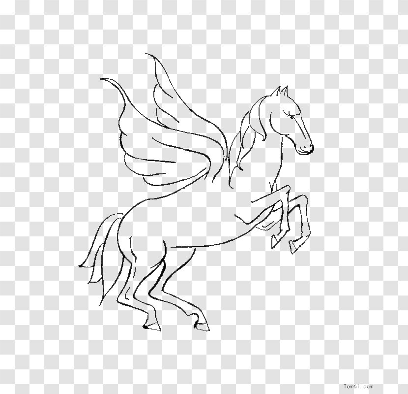 Horse Child Pegasus - Heart Transparent PNG