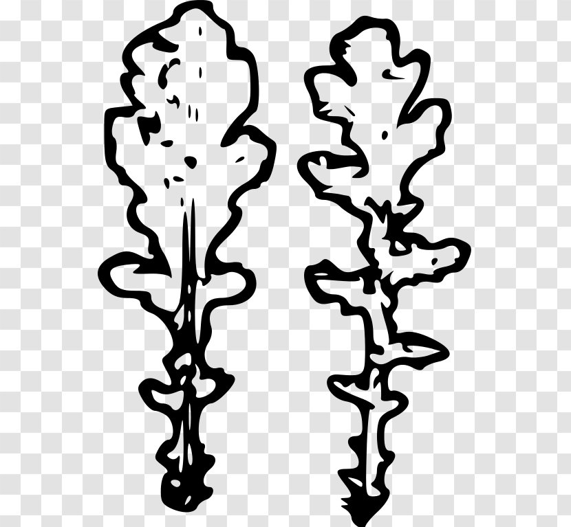 Plant Stem Leaf Flower White Clip Art - Branch Transparent PNG