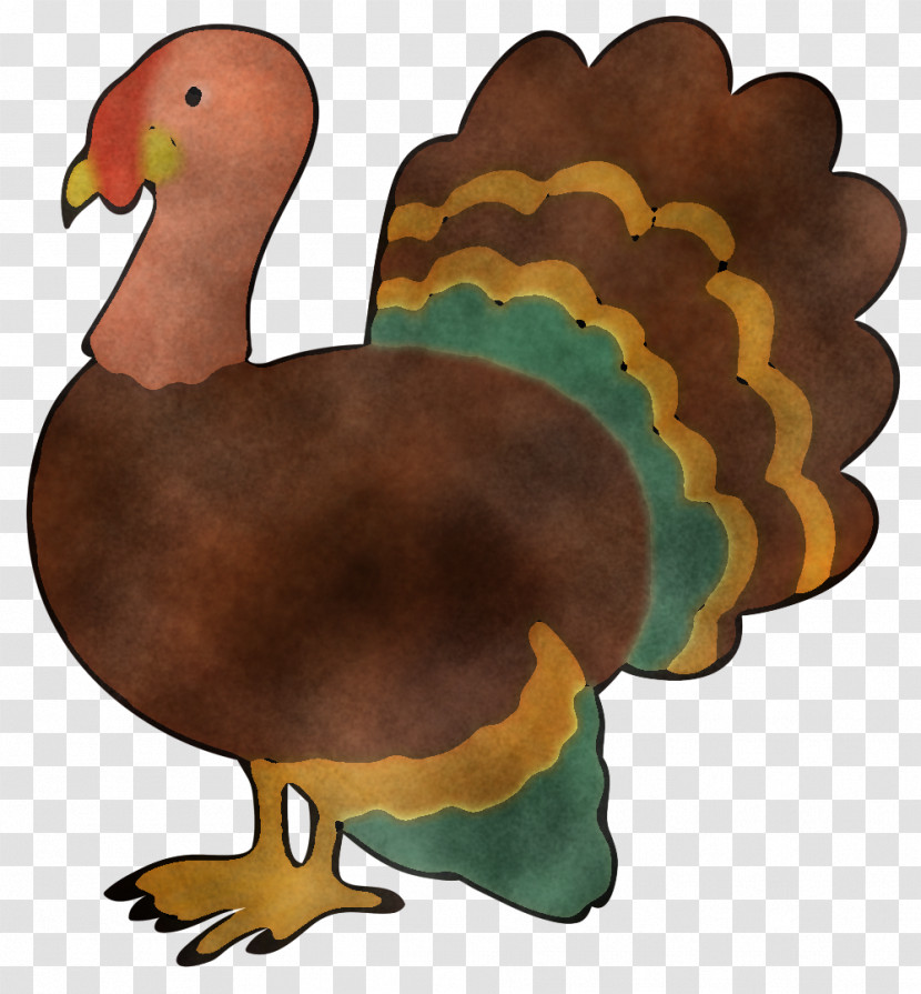 Landfowl Duck Birds Fowl Cartoon Transparent PNG