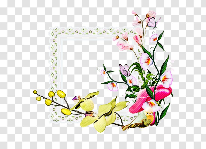 Flower Blossom Branch Plant Cut Flowers - Magnolia Petal Transparent PNG