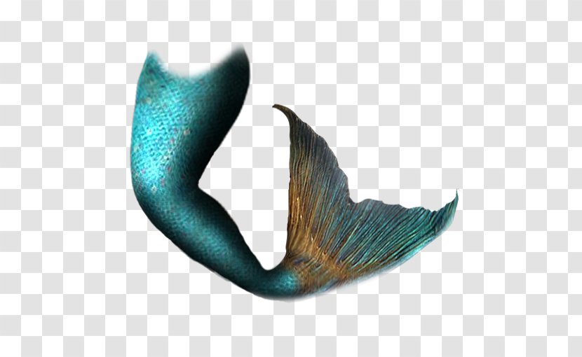 Mermaid Tail Clip Art - Tails Transparent PNG