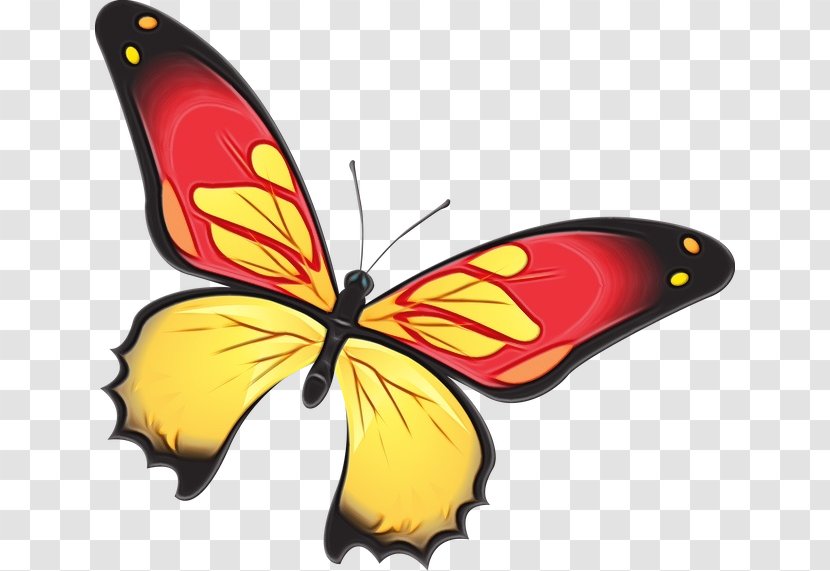 Monarch Butterfly - Paint - Wing Transparent PNG