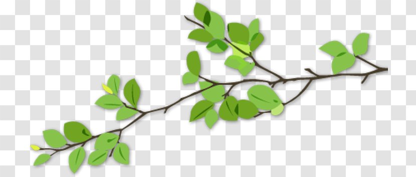 Twig Branch Tree Leaf Garden - Suntuubicom - Dalì Transparent PNG