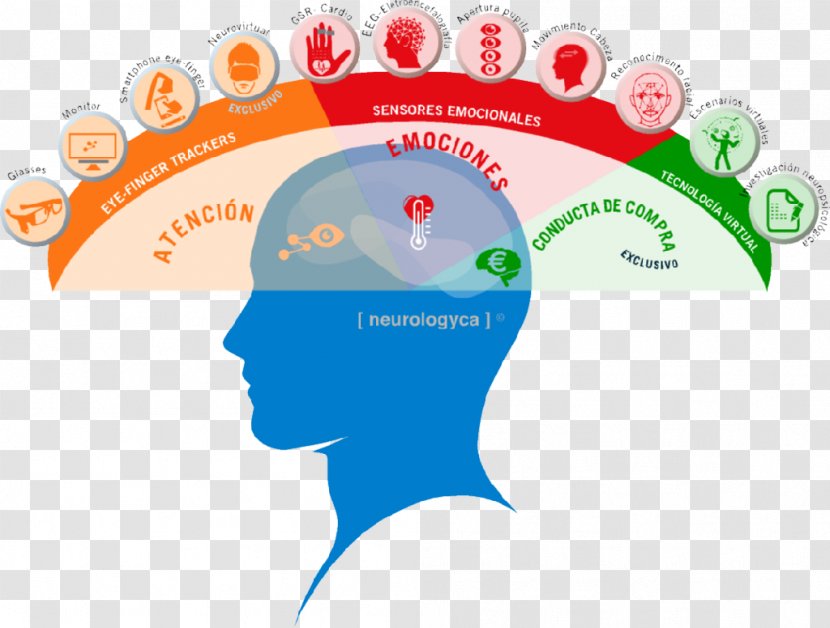 Neuromarketing Neuroscience Attention Neuroimaging Emotion - Flower Transparent PNG