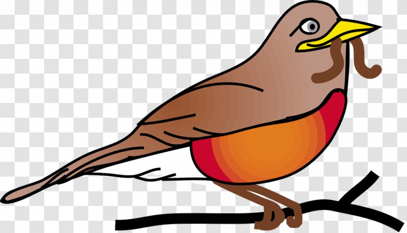 European Robin American Clip Art Transparent PNG